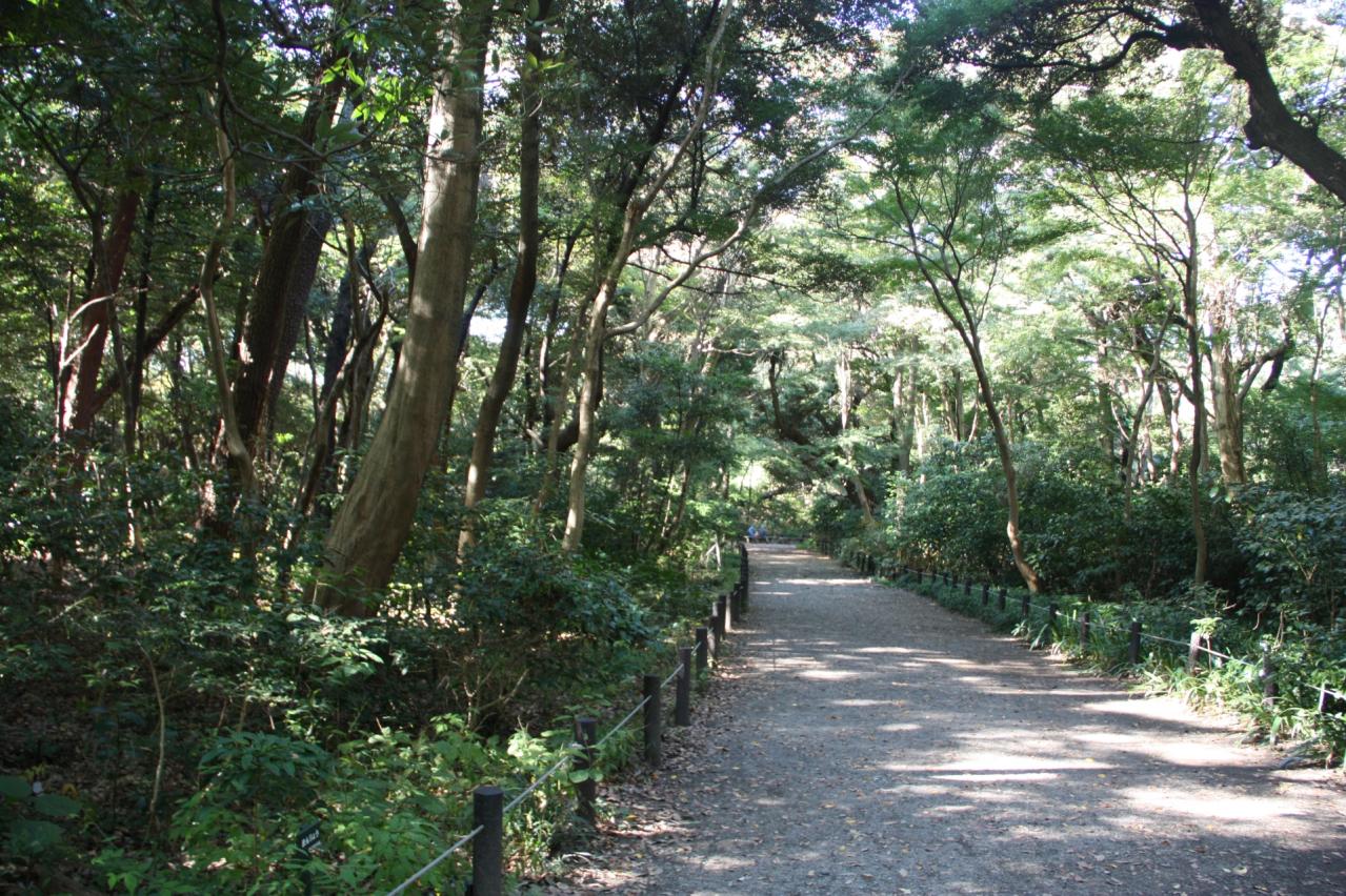 国立科学博物館付属自然教育園