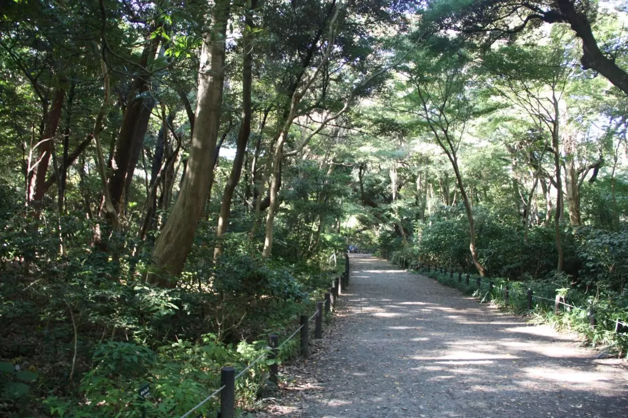 国立科学博物館付属自然教育園