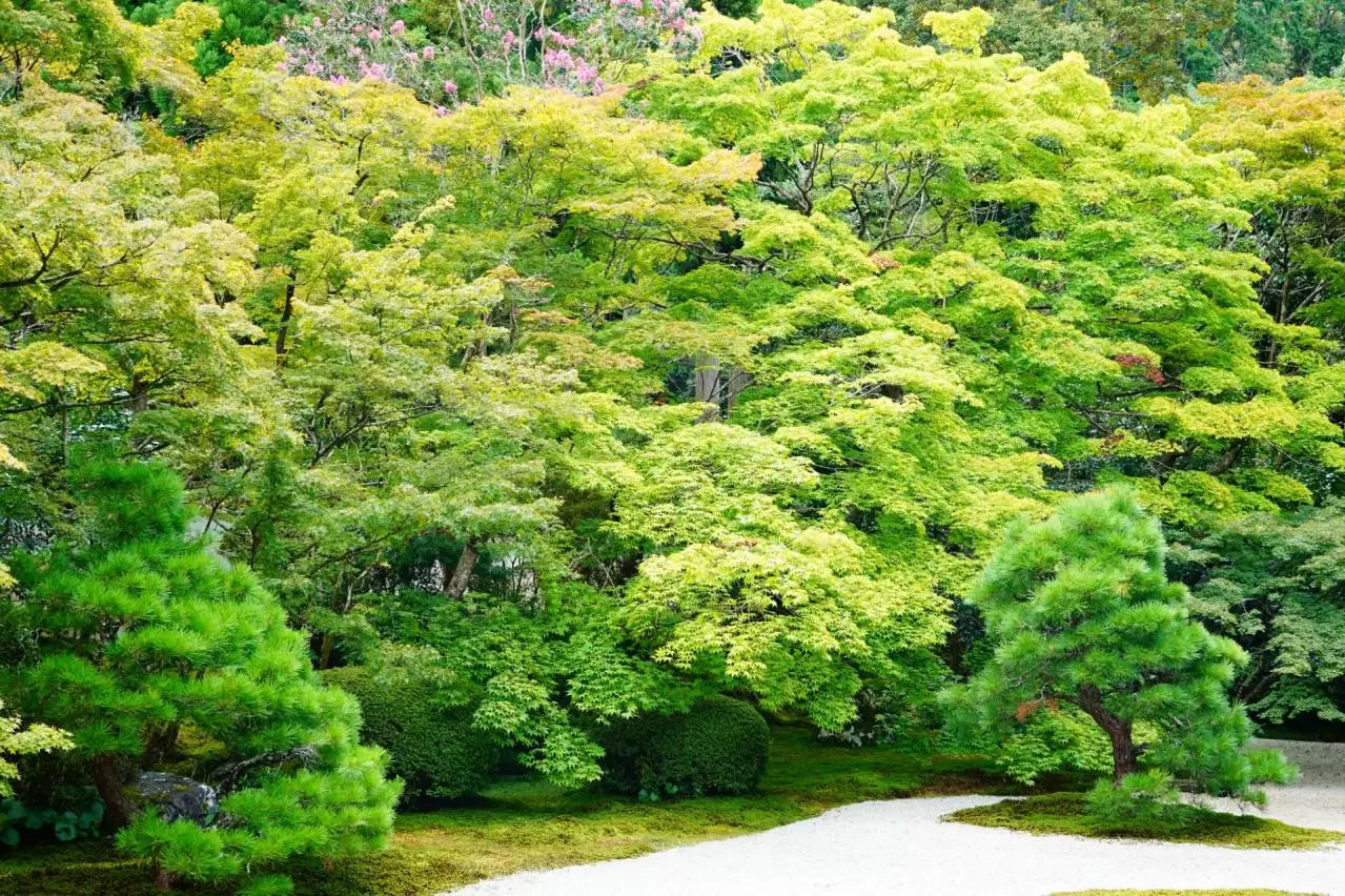 京都　南禅寺　南禅院の風景