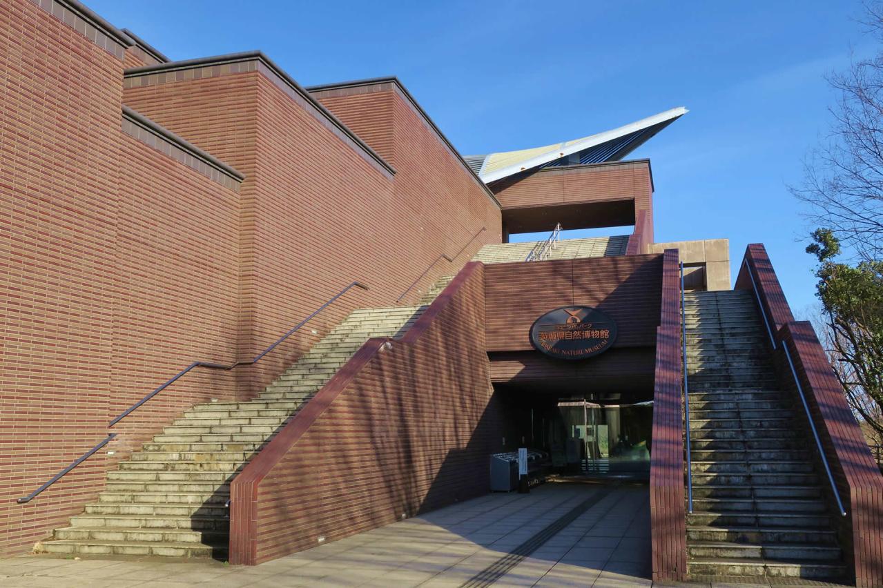 Museum Park Ibaraki Nature Museum