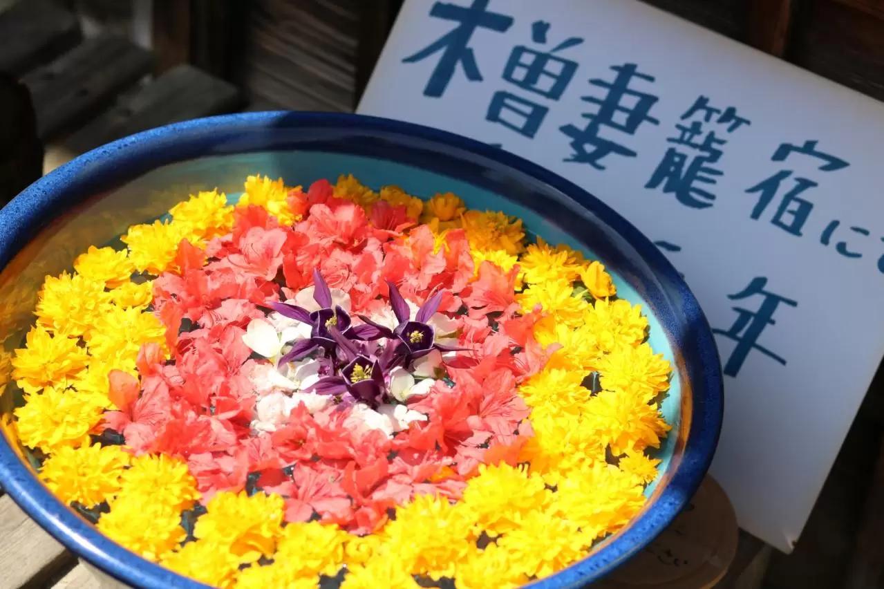 妻籠宿に咲く花