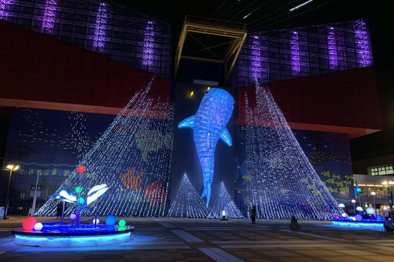  ライトアップされた海遊館