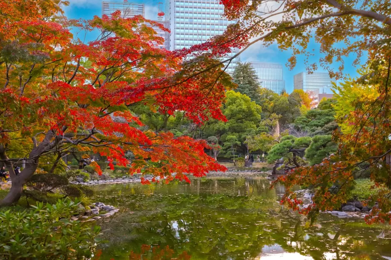 日比谷公園の紅葉