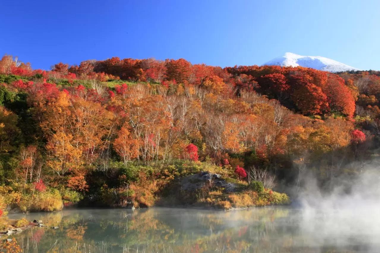 温泉の湯煙が立つ池