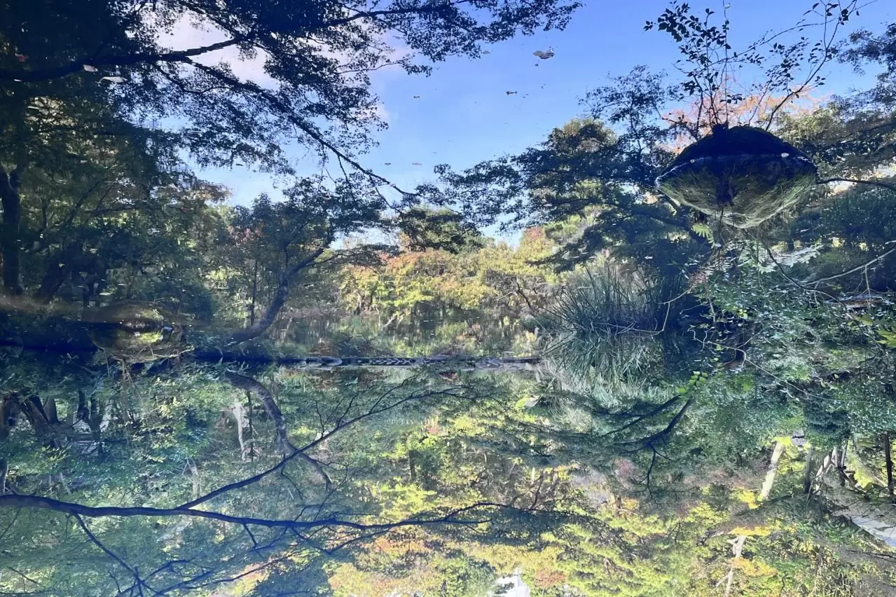 根津美術館の庭園