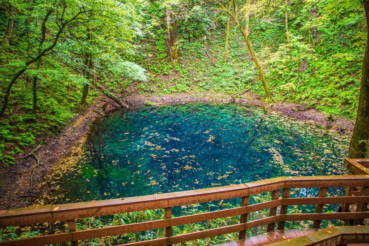 青森県　白神山地・青池