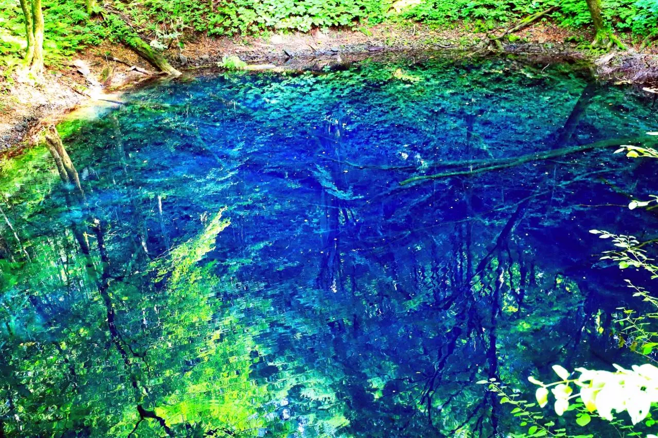 青森・十二湖・青池
