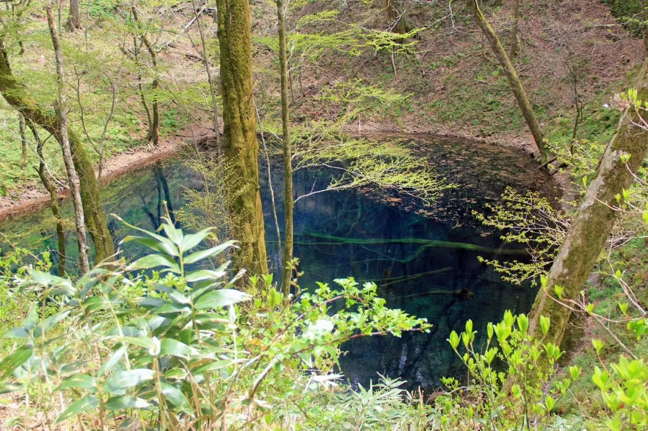 白神山地　十二湖　青池