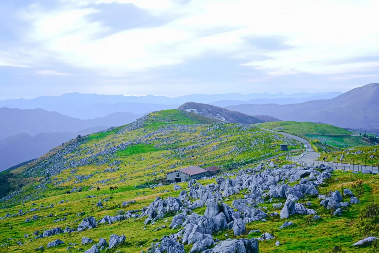 秋の四国カルスト