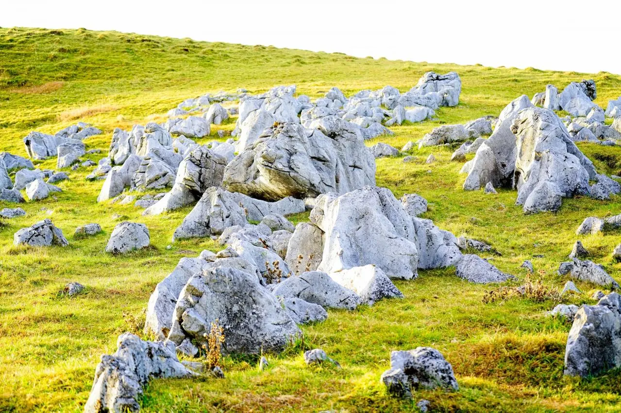 秋の四国カルスト