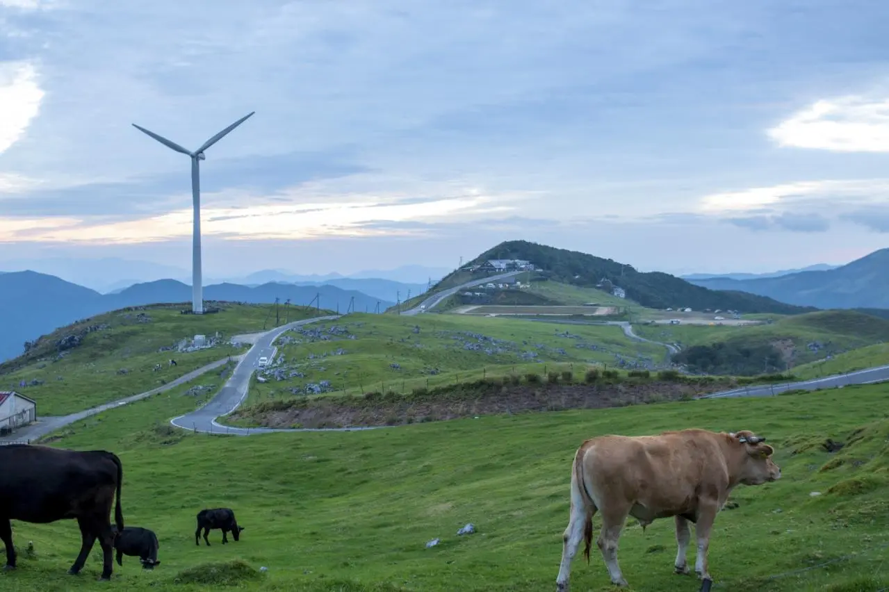 四国の絶景 四国カルスト