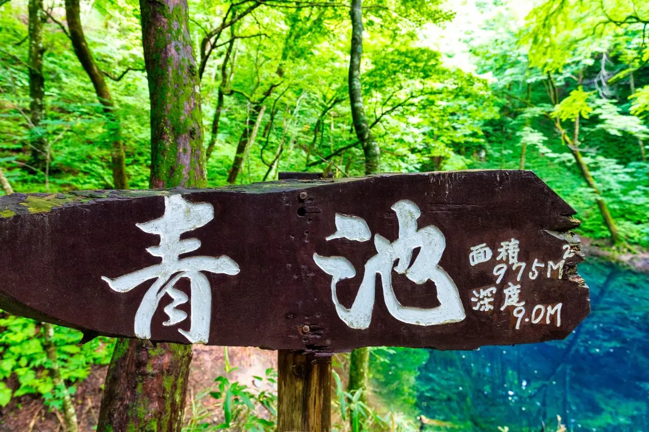  青森・十二湖・青池