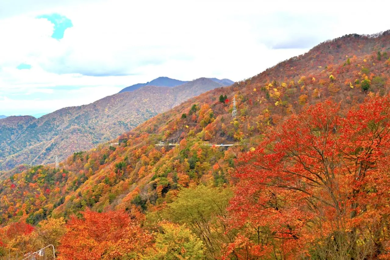 日光いろは坂からの眺望（栃木奥日光）