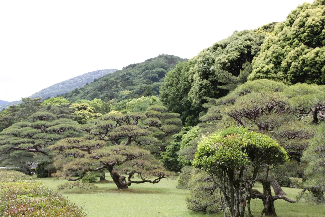 伊勢神宮での一風景