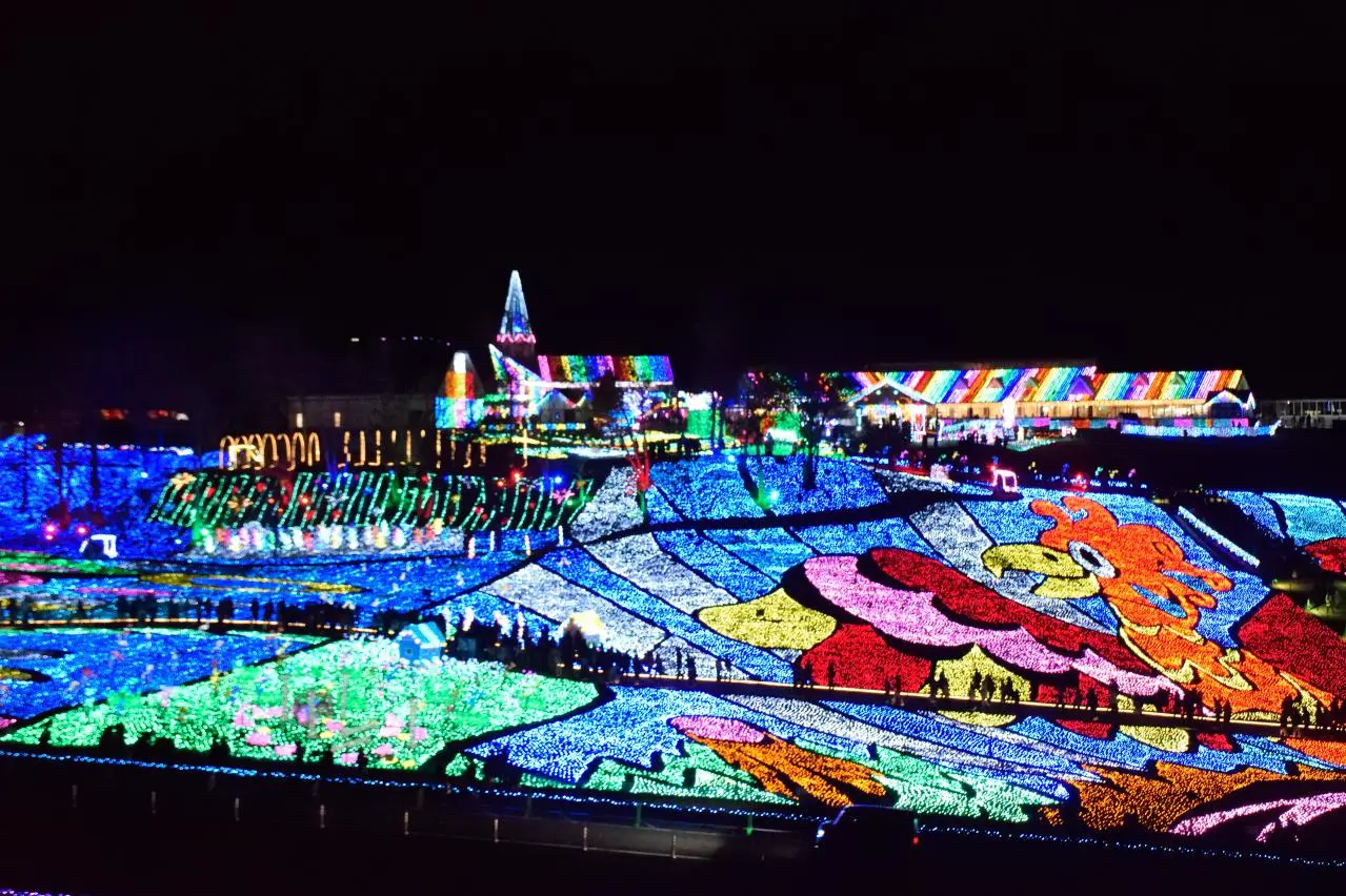  東京ドイツ村 ウインターイルミネーション