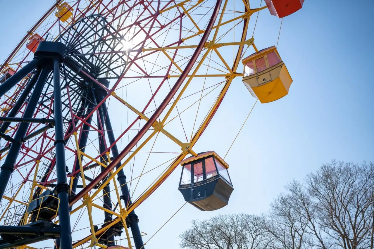   東京ドイツ村　観覧車