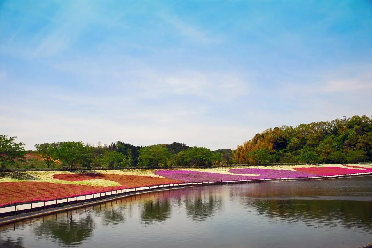  東京ドイツ村　池の周りに
