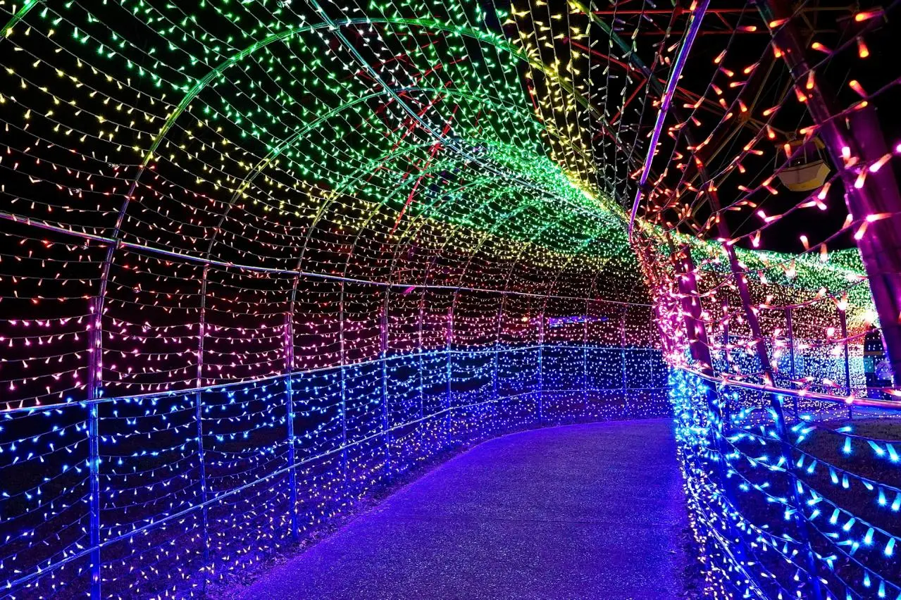 虹のトンネル -  東京ドイツ村ウインターイルミネーション