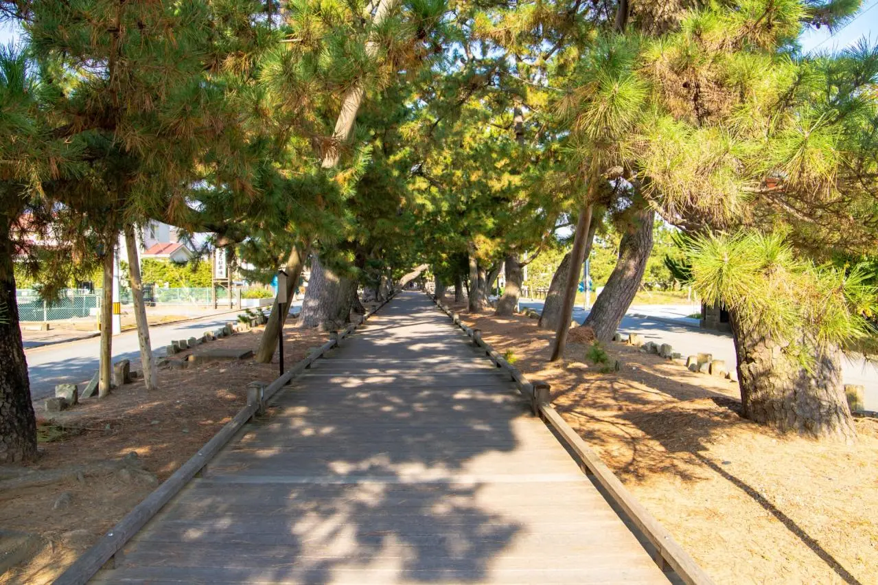 三保の松原　神の道