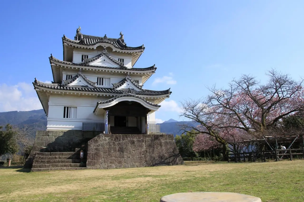 宇和島城　桜