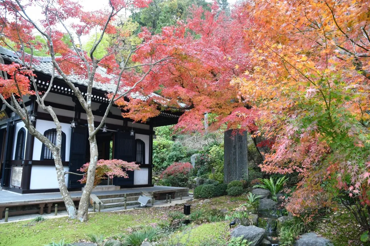 経蔵　紅葉　長谷寺　鎌倉