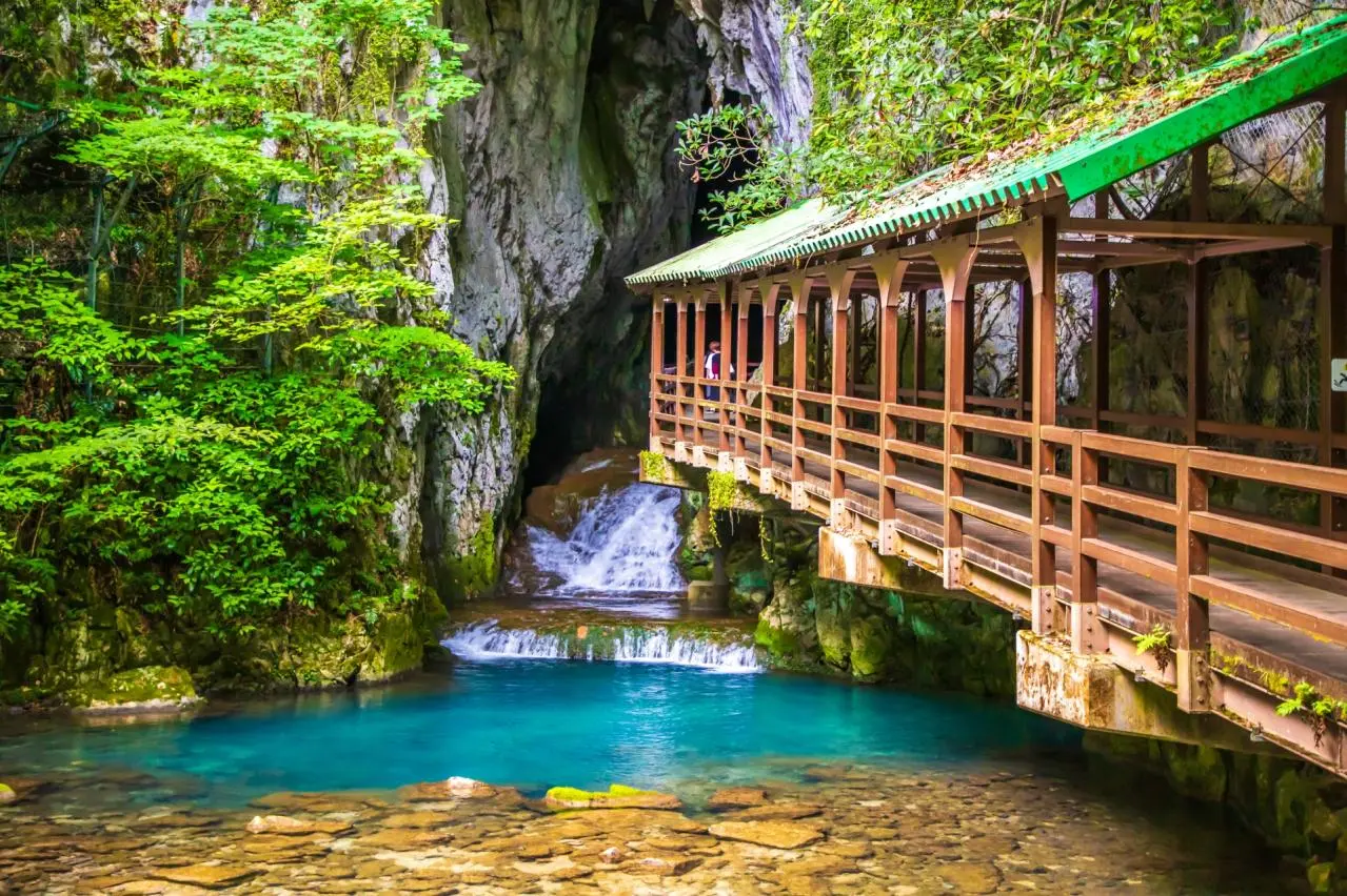 山口県　秋芳洞の入口