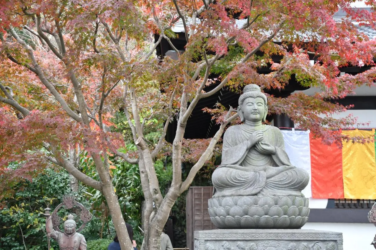 仏像　長谷寺　鎌倉