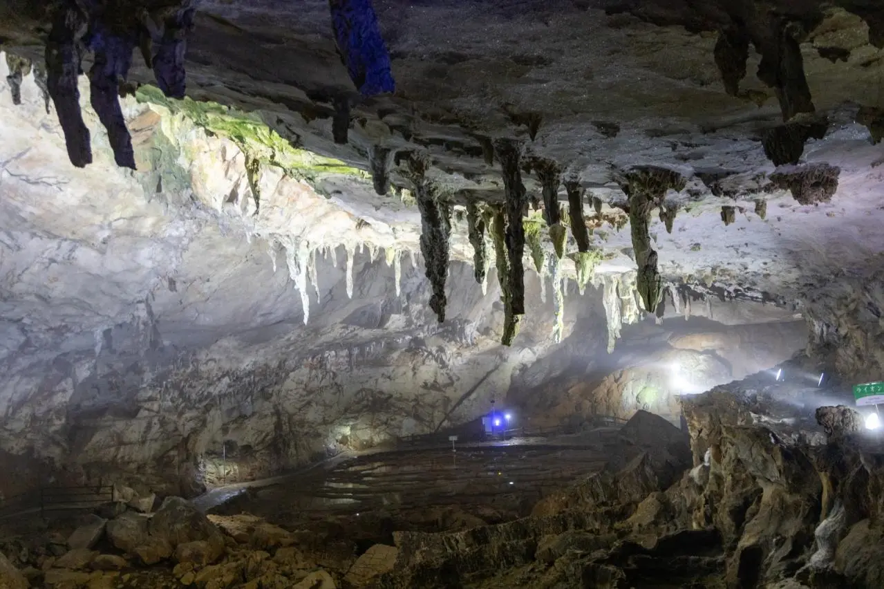 秋芳洞の洞窟内