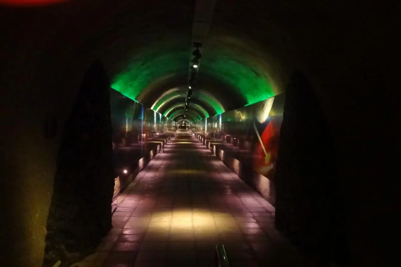 秋芳洞 黒谷口 3億年のタイムトンネル