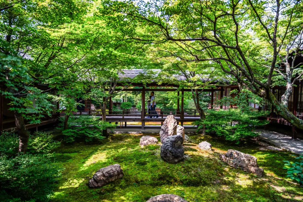 日本庭園（建仁寺）