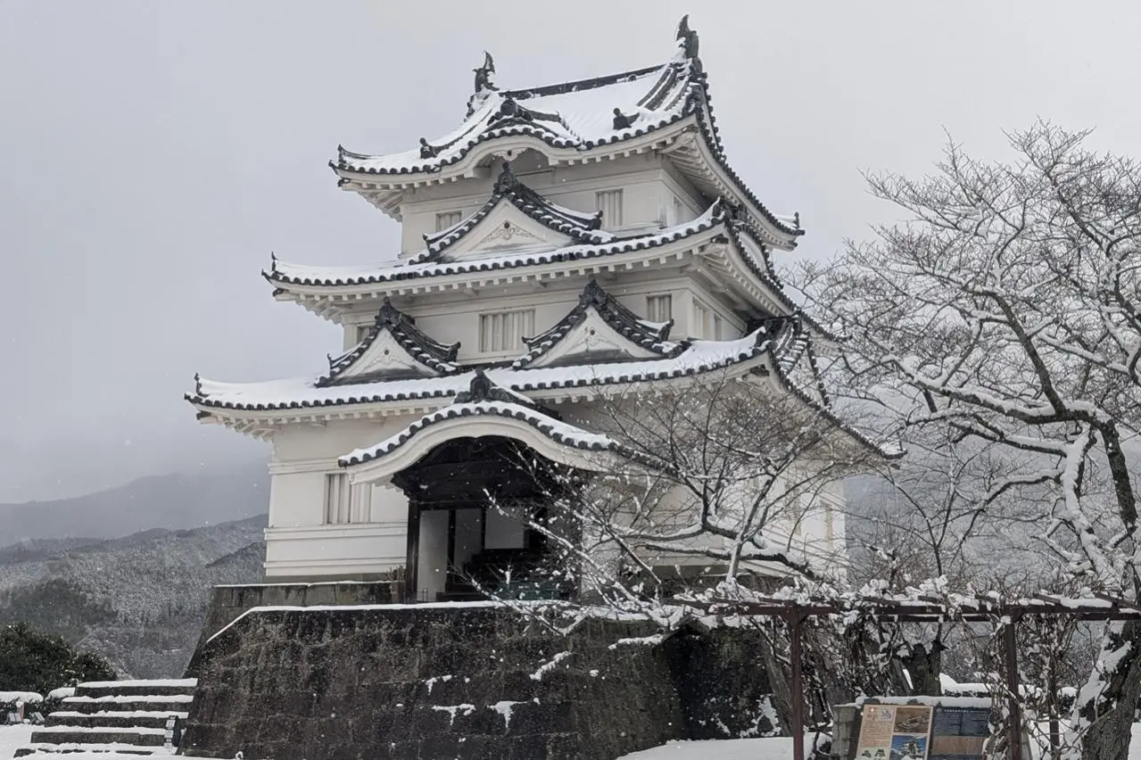 雪の宇和島城天守
