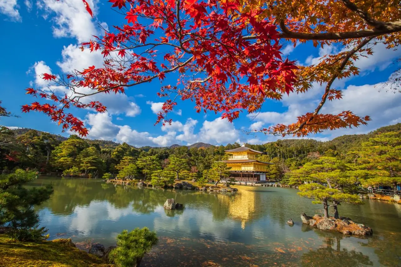 京都府　金閣寺の紅葉