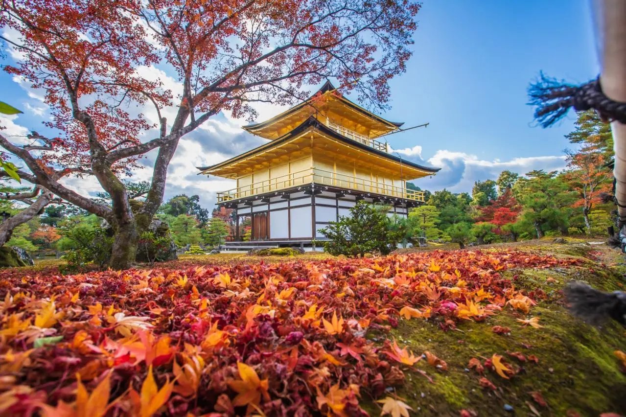 京都府　金閣寺の紅葉