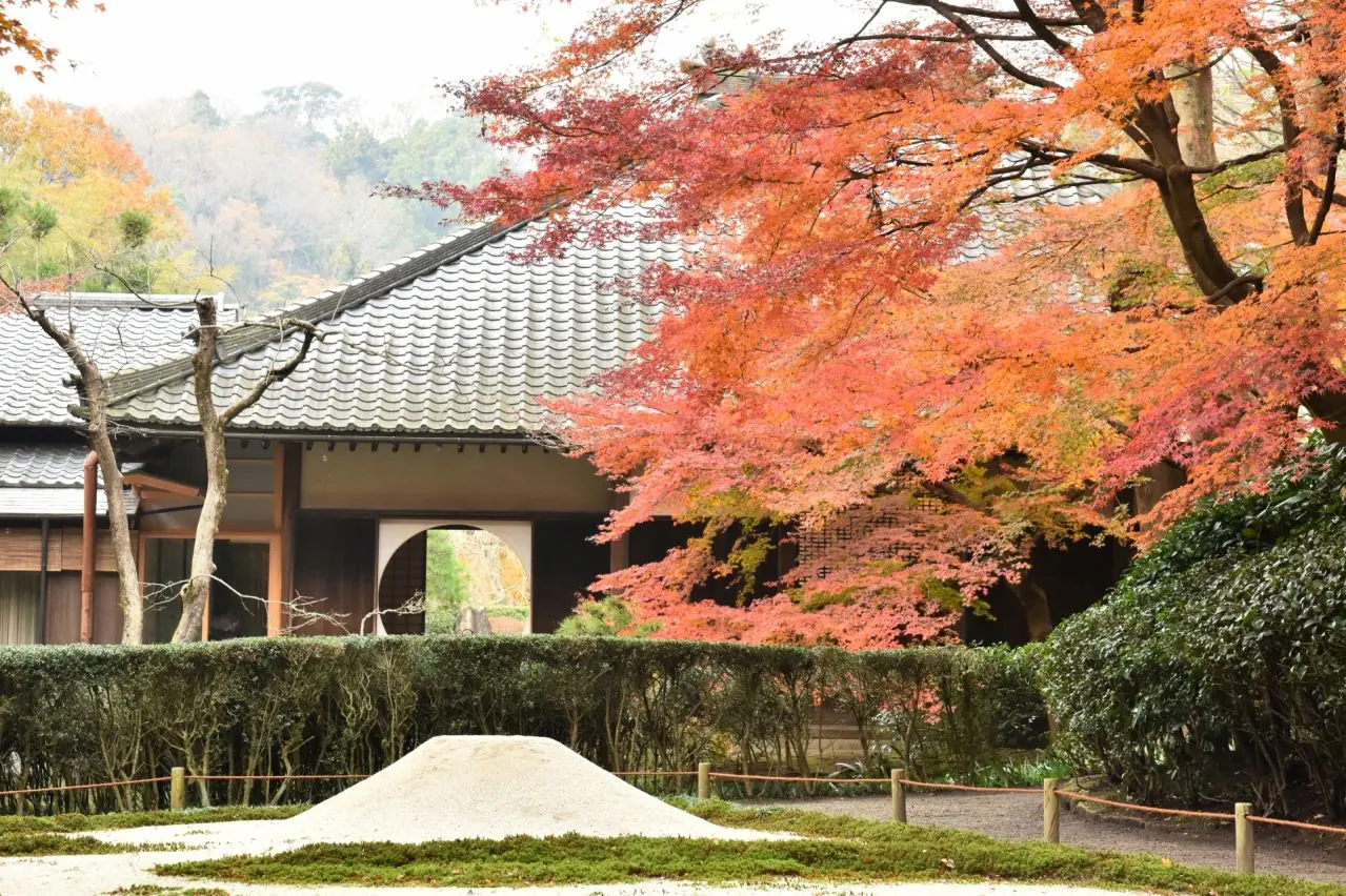 鎌倉 明月院 日本庭園