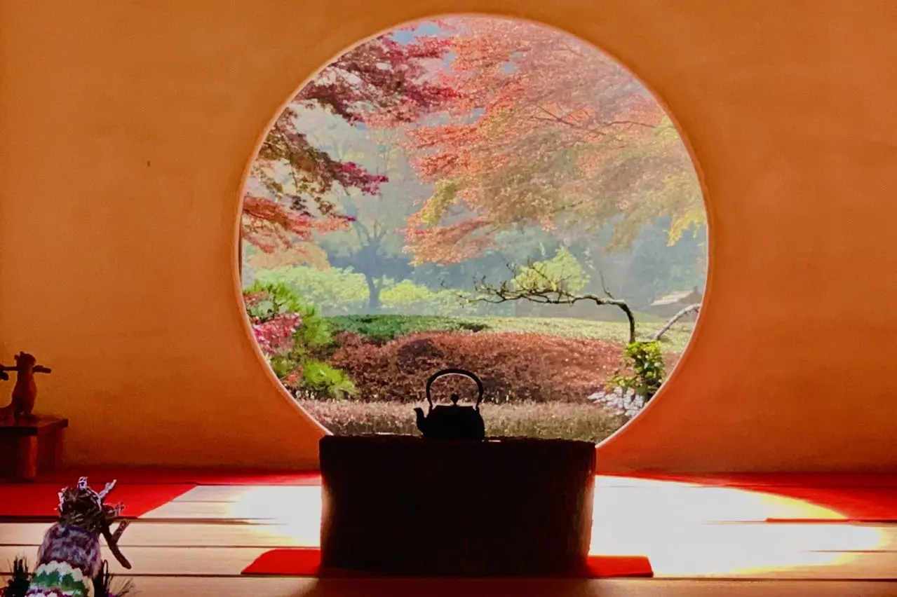 北鎌倉の明月院の紅葉