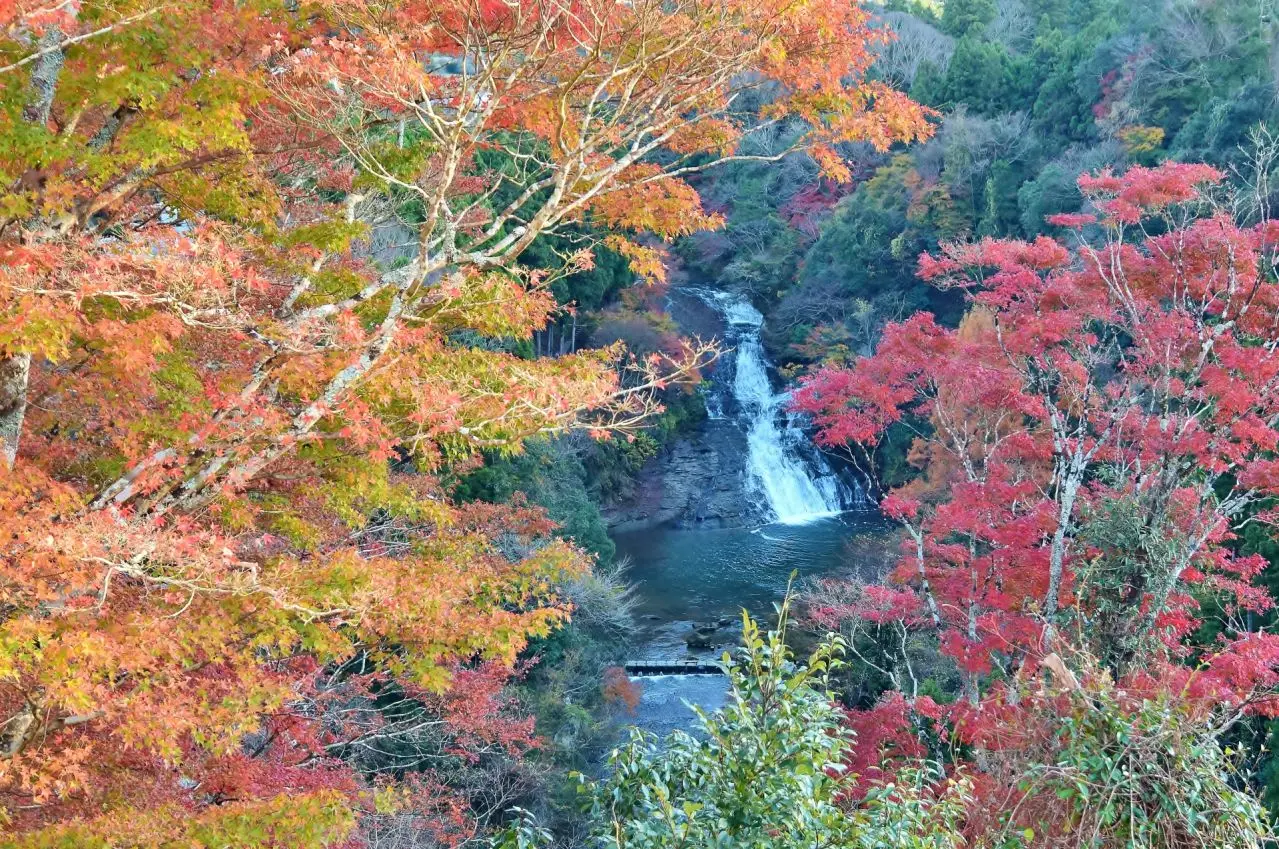 養老渓谷 粟又の滝