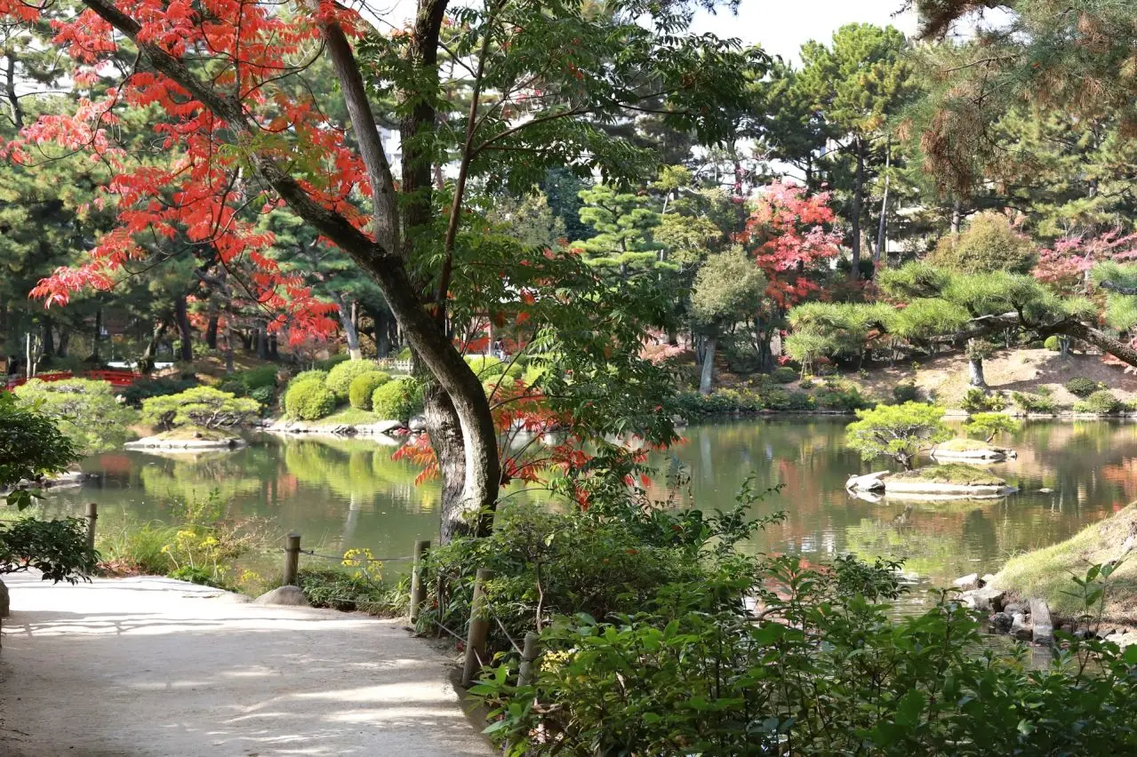 縮景園の紅葉