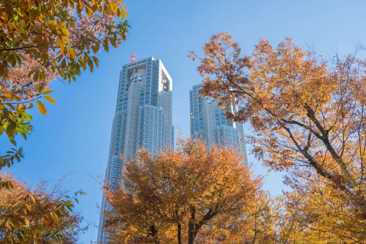 東京都庁と紅葉の風景