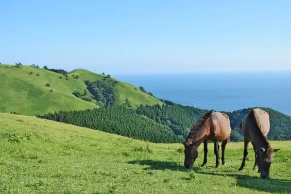 对岬