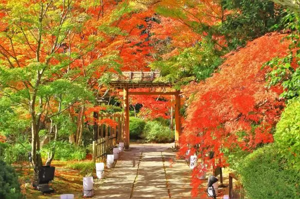 圓通院
