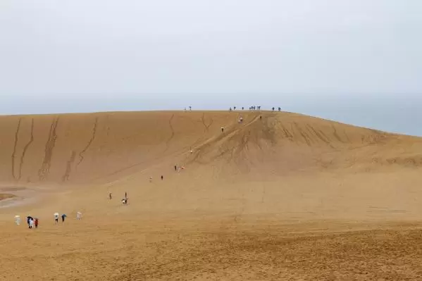 돗토리 사구