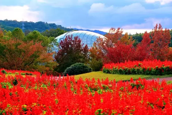Tottori Hanakairo Flower Park