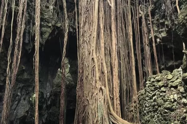 岩殿山谷