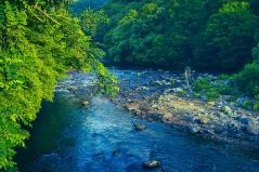 奥入瀬渓流