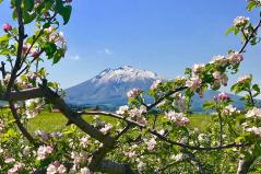 弘前市りんご公園