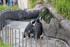 サンシャイン水族館