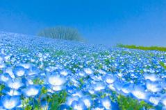 海の中道海浜公園