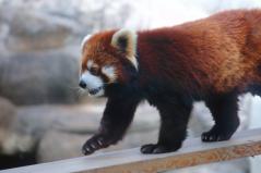 天王寺動物園