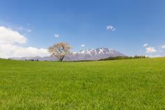 小岩井農場まきば園