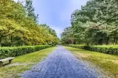 鷲羽山山頂へ続く道